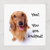 Cute Puppy "You're Invited!" Personalised Party