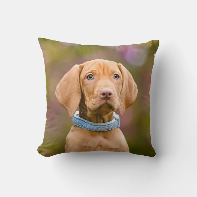 Cute puppyeyed Hungarian Vizsla Dog Puppy Photo - Cushion (Front)