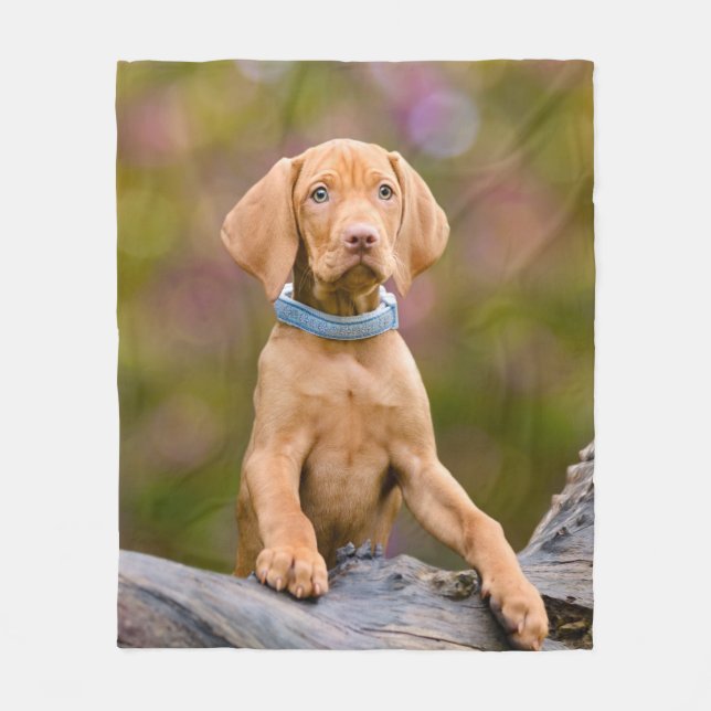 Cute puppyeyed Hungarian Vizsla Dog Puppy Photo _- Fleece Blanket (Front)