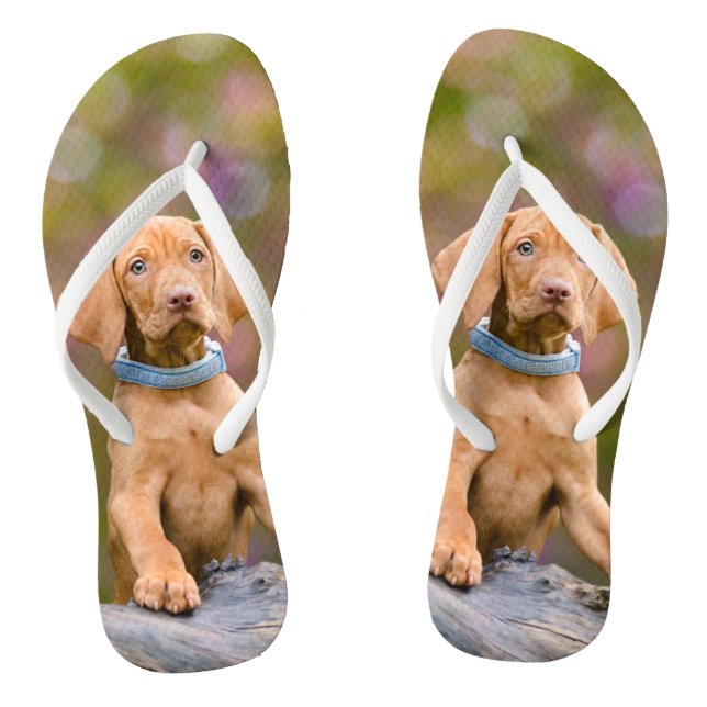 Cute puppyeyed Hungarian Vizsla Dog Puppy Photo _- Flip Flops (Footbed)