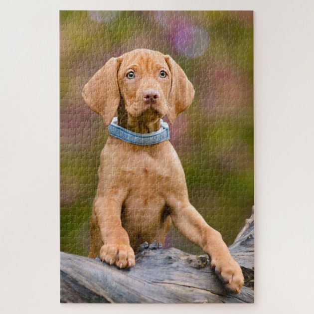 vizsla jigsaw puzzle