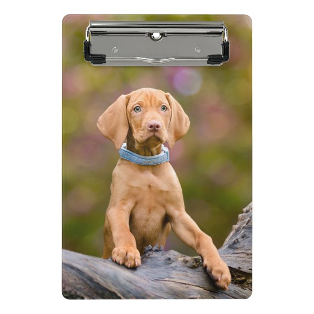 Cute puppyeyed Hungarian Vizsla Dog Puppy Photo // Mini Clipboard (Front)