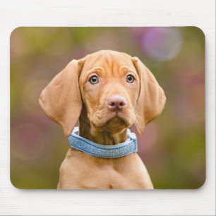 Cute puppyeyed Hungarian Vizsla Dog Puppy Photo : Mouse Mat