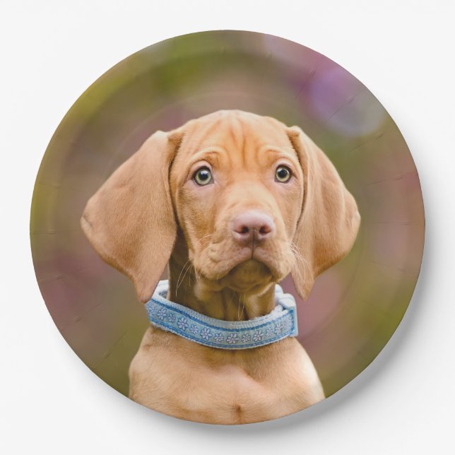 Cute puppyeyed Hungarian Vizsla Dog Puppy Photo " Paper Plate (Front)