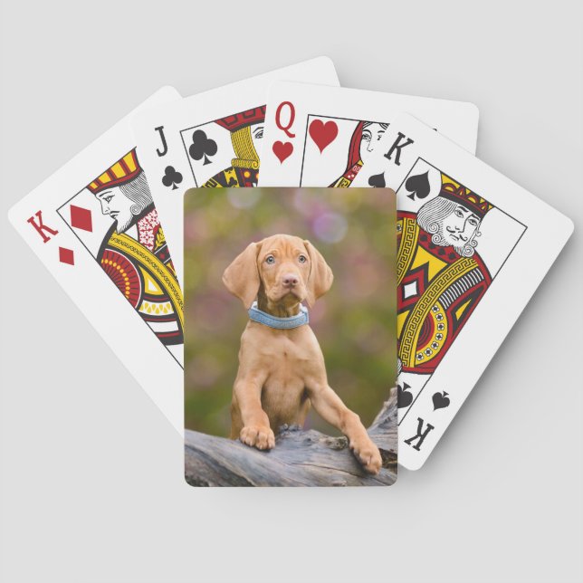 Cute puppyeyed Hungarian Vizsla Dog Puppy Photo /" Playing Cards (Back)