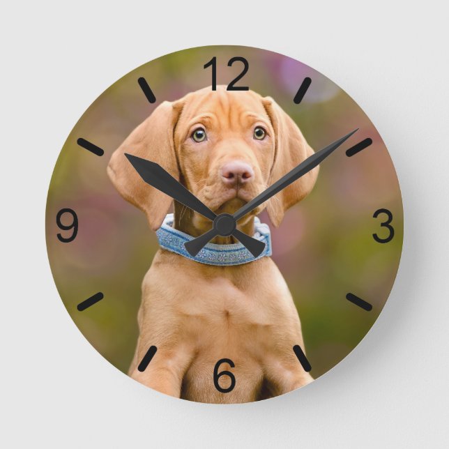 Cute puppyeyed Hungarian Vizsla Dog Puppy Photo - Round Clock (Front)