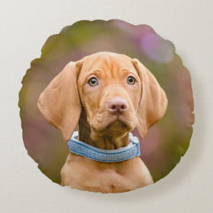 Cute puppyeyed Hungarian Vizsla Dog Puppy Photo -_ Round Cushion