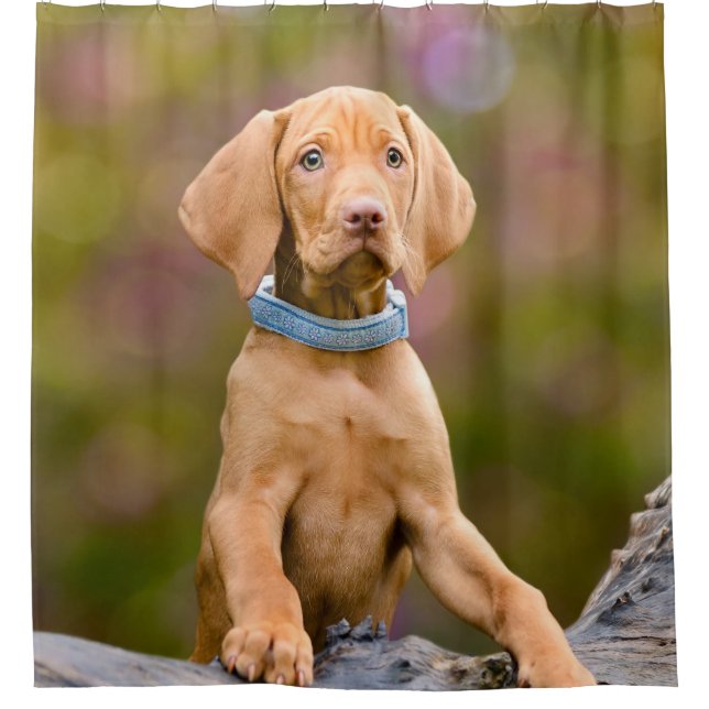 Cute puppyeyed Hungarian Vizsla Dog Puppy - Tub Shower Curtain (Front)