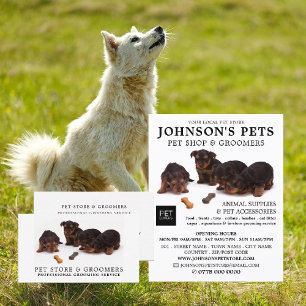 Cute Pups, Pet Store & Groomers Business Card