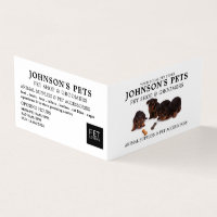 Cute Pups, Pet Store & Groomers Detailed
