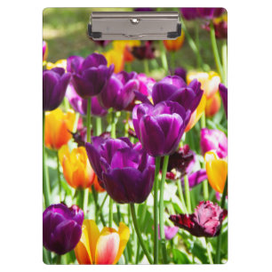 Cute purple and yellow tulips clipboard
