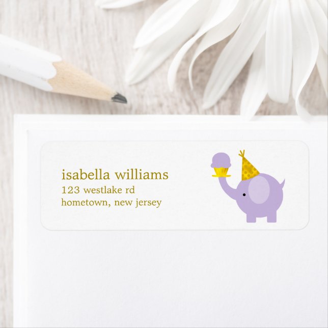 Cute Purple Elephant Birthday Party (Insitu)