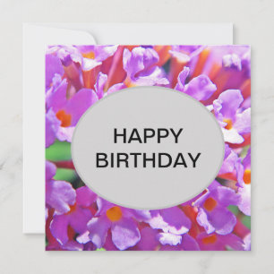 Cute Purple Little Flowers