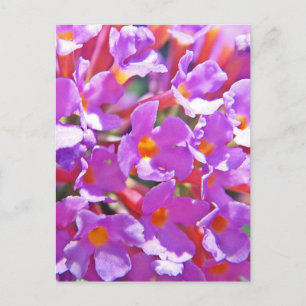 Cute purple little flowers postcard