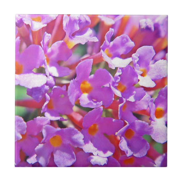Cute purple little flowers tile (Front)