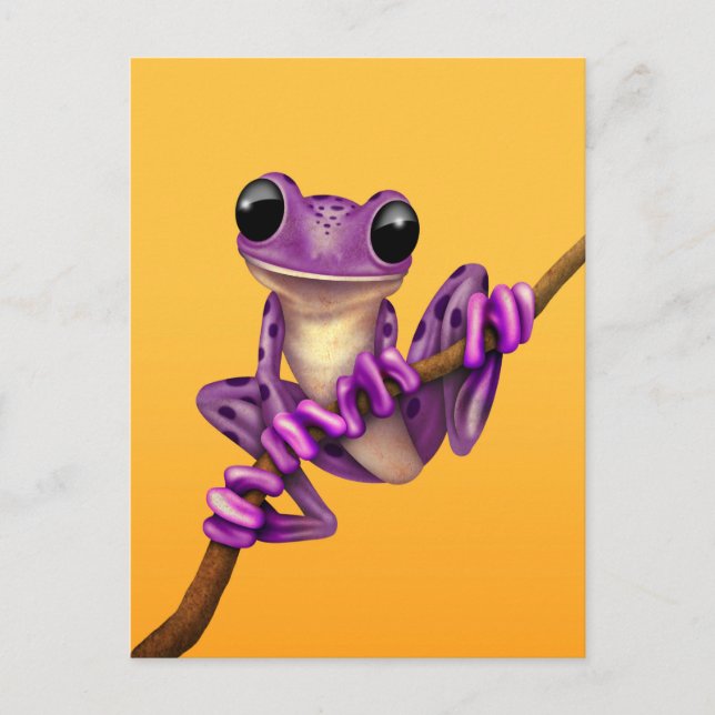 Cute Purple Tree Frog on a Branch on Yellow Postcard (Front)
