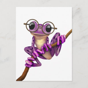 Cute Purple Tree Frog with Eye Glasses on White Postcard