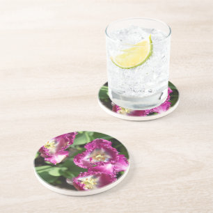 Cute purple tulips in the garden coaster
