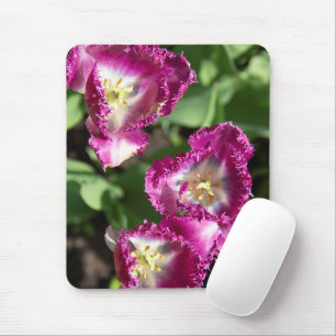 Cute purple  tulips  in the garden  mouse mat