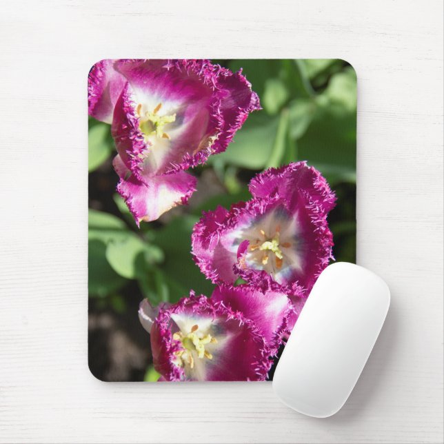 Cute purple  tulips  in the garden  mouse mat (With Mouse)