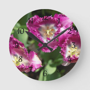 Cute purple  tulips  in the garden round clock
