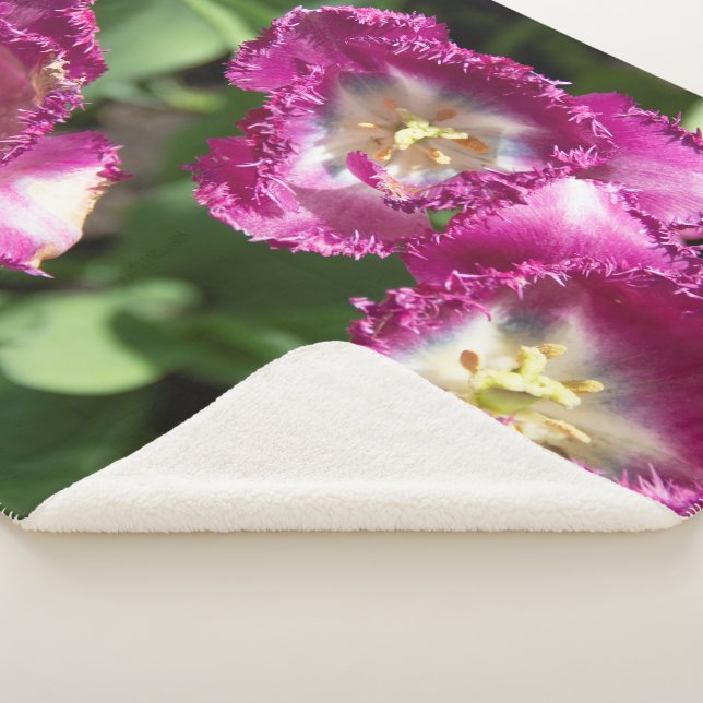 Cute purple  tulips  in the garden sherpa blanket (3/4)