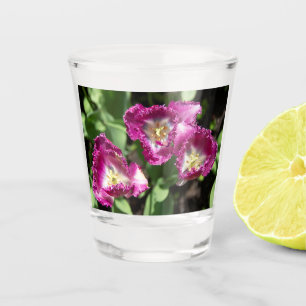 Cute purple  tulips  in the garden  shot glass