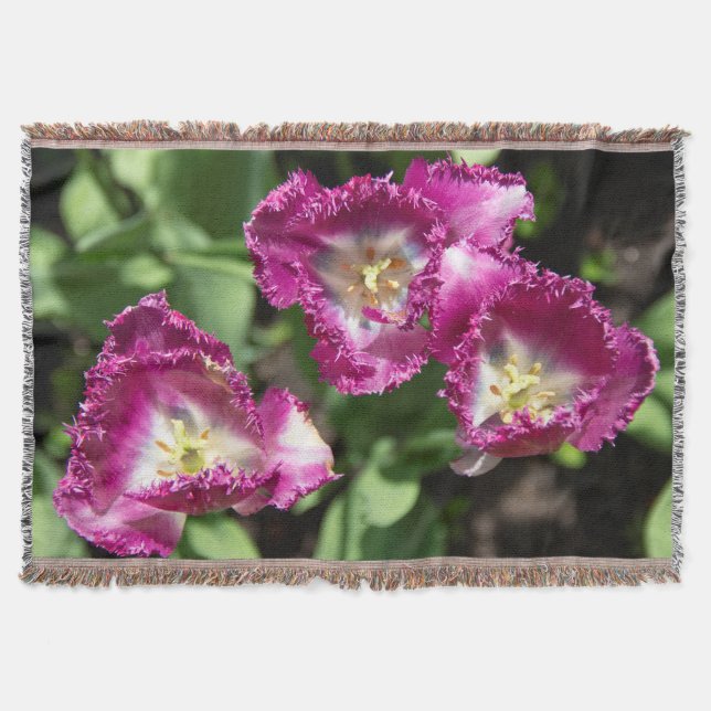 Cute purple  tulips  in the garden throw blanket (Front)