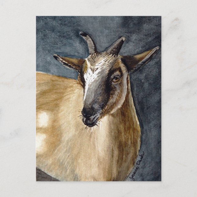 Cute Pygmy Goat Watercolor Artwork Postcard (Front)
