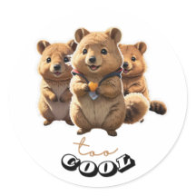 Cute Quokka sticker