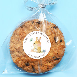 Cute Rabbit Baby Shower Classic Round Sticker