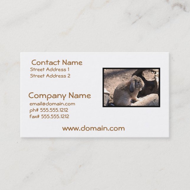 Cute Rabbit Business Card (Front)
