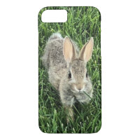 Cute Rabbit Nature