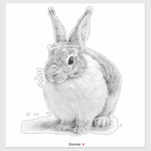 Cute Rabbit Pencil Drawing