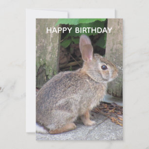 Cute Rabbit Photo Birthday Flat Card