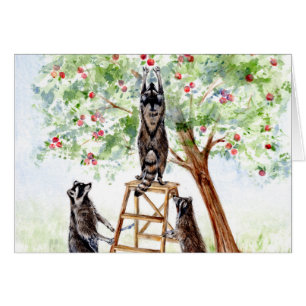 Cute Raccoons in Apple Orchard