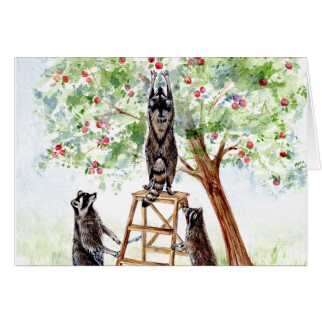 Cute Raccoons in Apple Orchard (Front Horizontal)