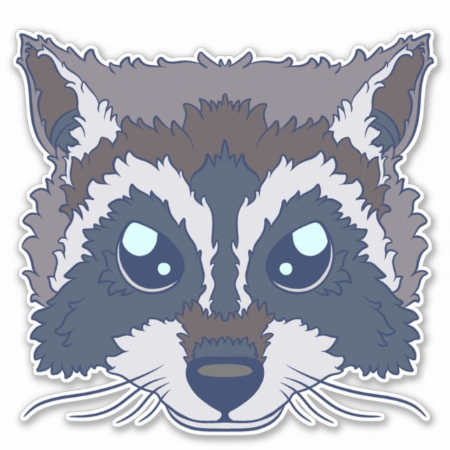 Cute Racoon (Front)