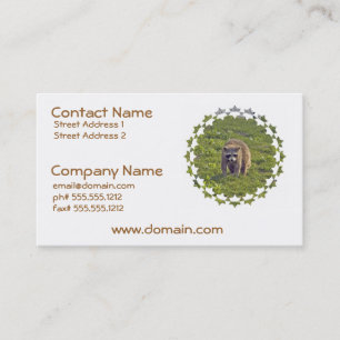 Cute Racoon Business Cards