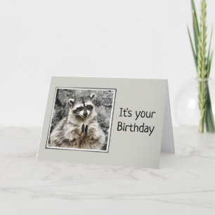 Cute Racoon Clapping Birthday Humour Card
