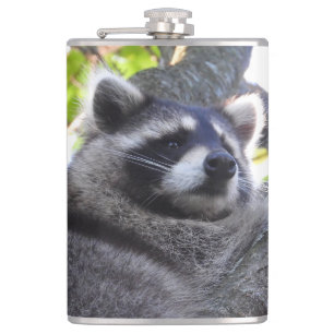 Cute Racoon Close UP Hip Flask