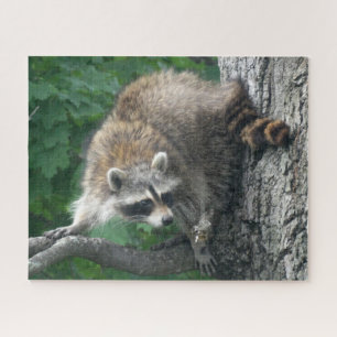 Cute Racoon Full Body in Oak Tree Jigsaw Puzzle
