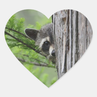 Cute Racoon Heart Sticker
