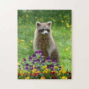 Cute Racoon in Flower Garden Wildlife Jigsaw Puzzle