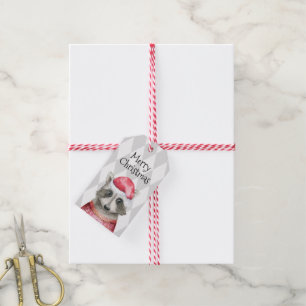 Cute Racoon in Santa Hat Christmas Holiday Gift Tags