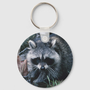 Cute Racoon Key Ring