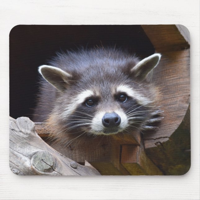 Cute Racoon Mouse Mat (Front)