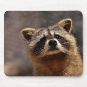 Cute Racoon Mouse Mat