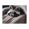Cute Racoon nestled in a soft blanket