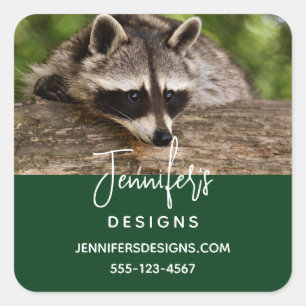 Cute Racoon Resting on a Log Business Square Sticker